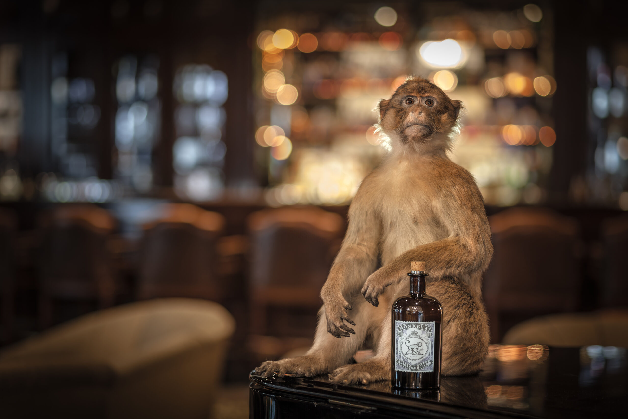 Monkey 47 - Monkey 47 Mood 05 Monkey 47 Schwarzwald Dry Gin 0,5 l – Bild 3